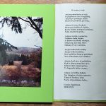 L. Jagielienės eilėraštis ir fotografija - dovana kiekvienam renginio dalyviui