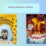 Mažojo pelėdžiuko nuotykiai