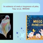 „Miegas“, „Miego avinėliai“