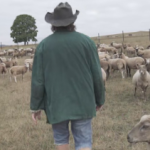 Filmo kadras